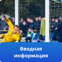 вводная информация