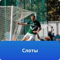 вводная информация